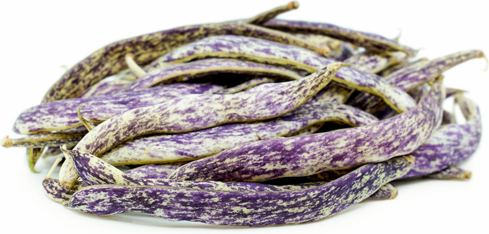 Dragons tongue bean certified organic seeds 20 Etsy
