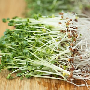 Broccoli for sprouting organic 1/2onuce