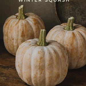 Puede incluir: Tres calabazas de invierno Autumn Frost con piel de color beige y crema y tallos verdes están dispuestas sobre una superficie de madera. La imagen incluye el texto "Autumn Frost Winter Squash".