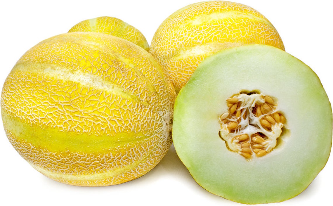 Melons Lemon drop melon seeds 10 Etsy