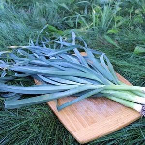 May include: A bunch of fresh green leeks on a wooden cutting board, sitting on a bed of green grass.