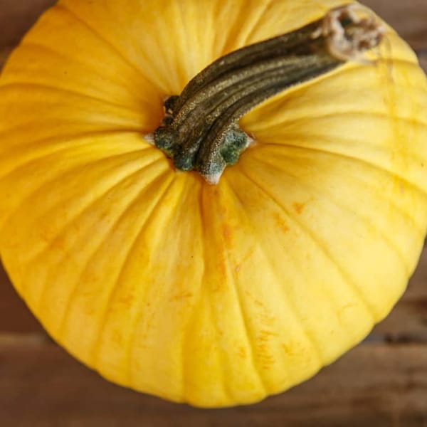 Pumpkin Mellow yellow pumpkin seeds 20