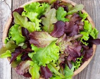 Lettuce sweet Greens and Reds heirloom seeds 150