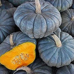 Puede incluir: Primer plano de un montón de calabazas de color azul grisáceo. Una calabaza está cortada por la mitad, revelando la pulpa naranja y las semillas en su interior.