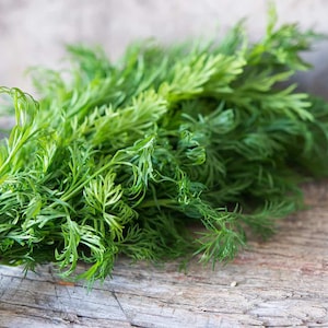 Op de afbeelding: Een bosje verse groene dilletakken die bij elkaar zijn gebonden en op een rustiek houten oppervlak liggen.