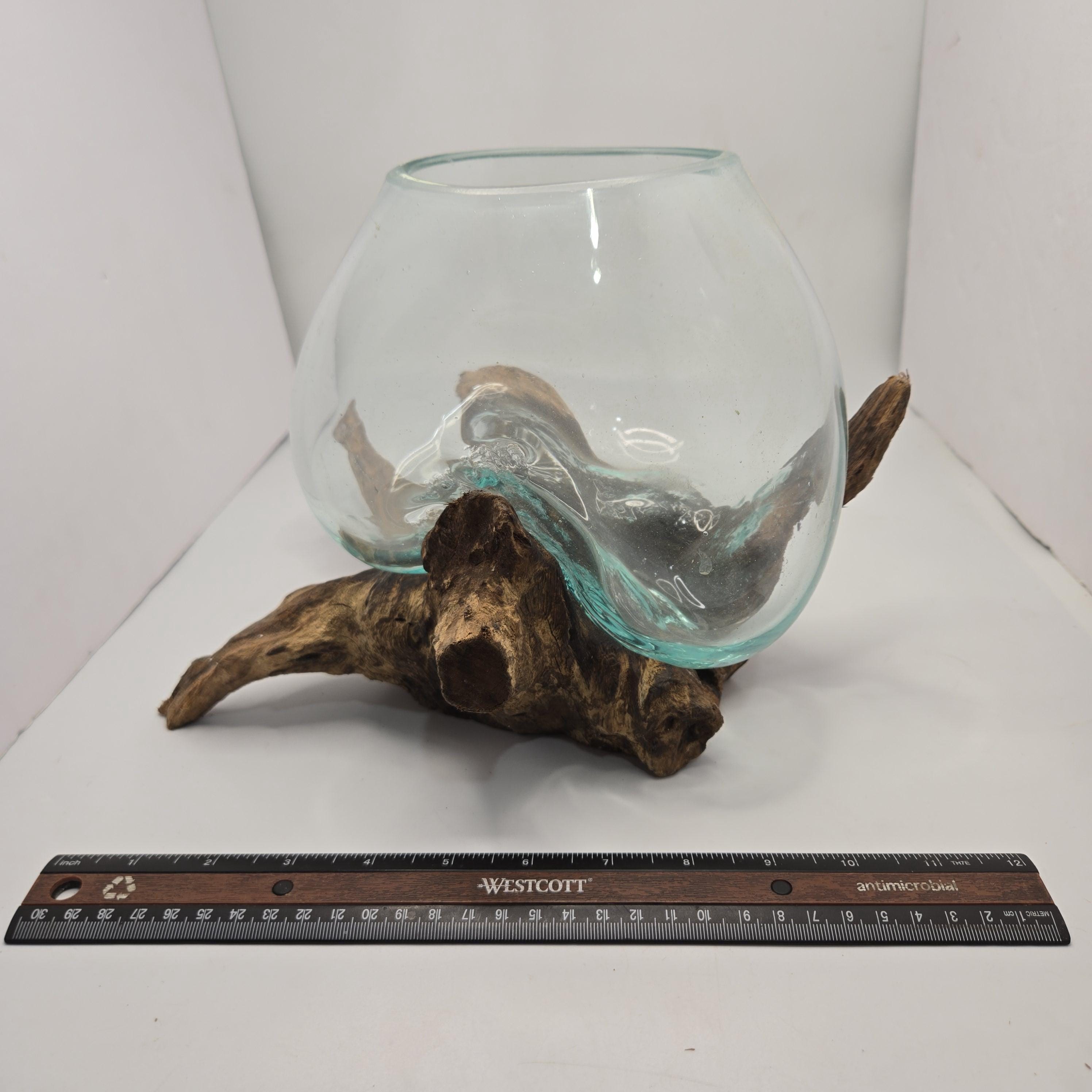 Mimi】 나나미 New 2025 Kawasaki Ninja ZX-6R, Tomah WI | Specs, Price