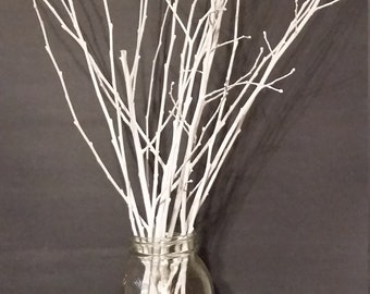 White Tree Branches Etsy