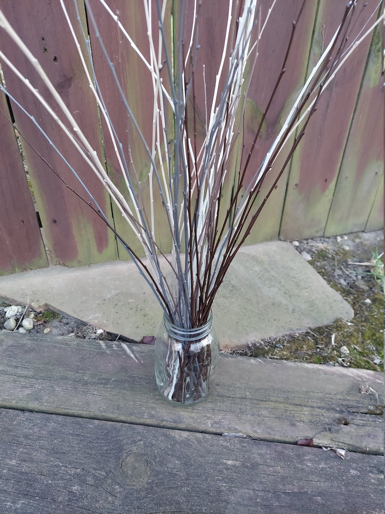 Set of 50 Hand Painted Nature Inspired White Birch BranchesWhite BirchVase FillerReady To ShipWhite Birch Decorative SticksWedding