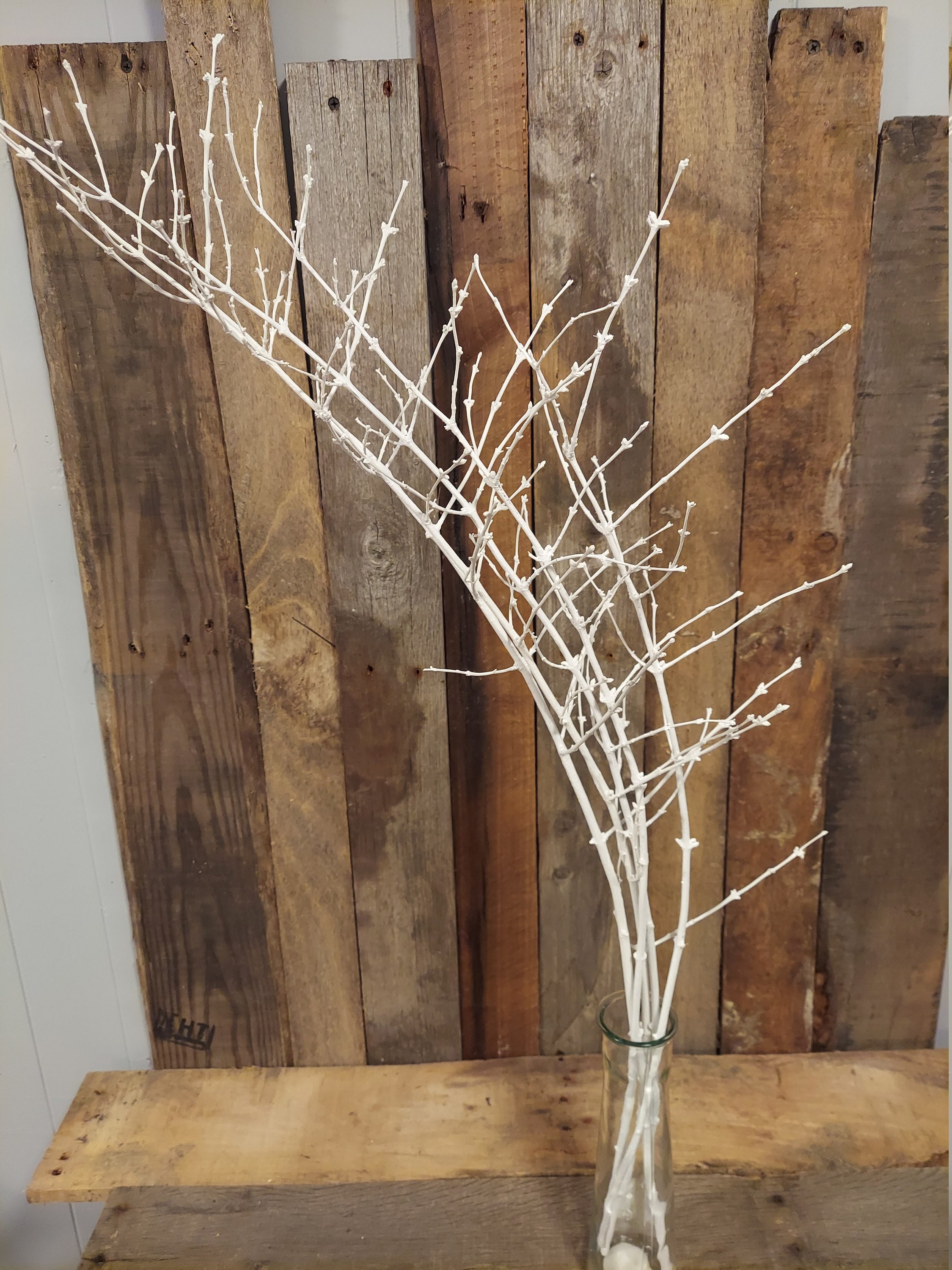 White Birch Twigs/Set of 5 Hand Painted Birch Branches/Vase Etsy