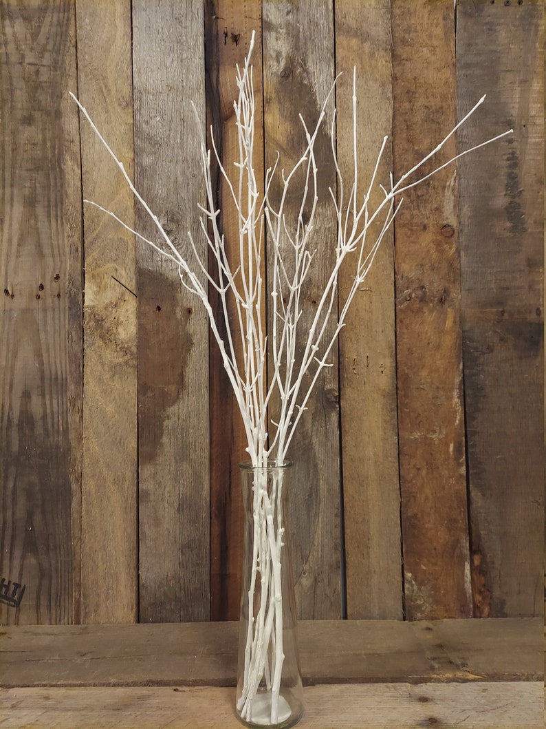 Branches De Bouleau - branches de bouleau et de pin rouge #noel #