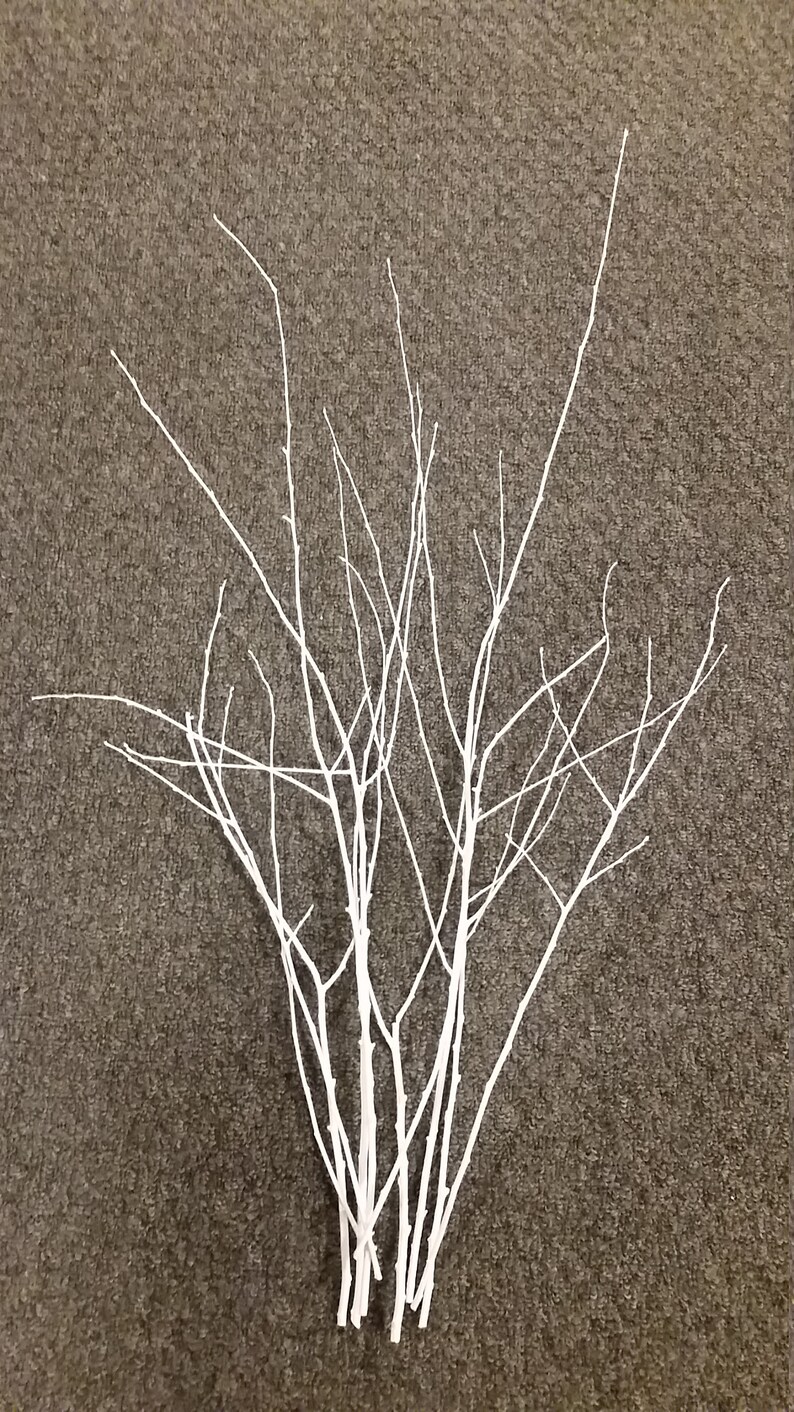 White Birch Twigs/Set of 10 Hand Painted Birch Branches/Vase Etsy