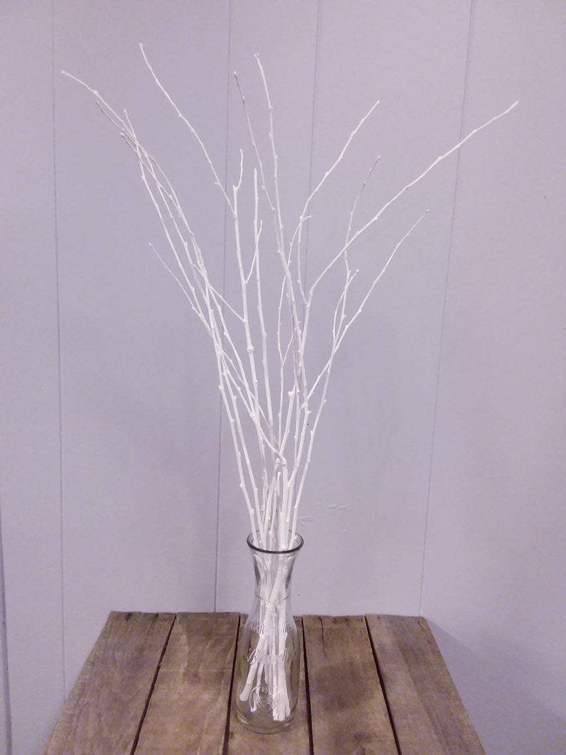 White Birch Sticks/Set of 10 Hand Painted Birch Branches/Vase Etsy