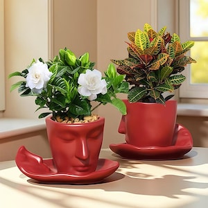 May include: Two red ceramic face planters, each holding a different plant. One features white flowers and green leaves, the other has colorful foliage. Each planter sits on a matching saucer.