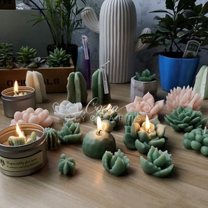Pode incluir: Conjunto de velas suculentas verdes, cor-de-rosa e brancas. As velas est&atilde;o dispostas numa superf&iacute;cie de madeira e est&atilde;o acesas. Algumas das velas t&ecirc;m a forma de suculentas, enquanto outras t&ecirc;m a forma de cactos. As velas s&atilde;o feitas &agrave; m&atilde;o e t&ecirc;m um aroma natural e terroso.