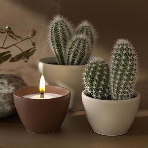 Cone Bowl Silicone Mold-Round Trinket Bowl Resin Mold-Succulent Planter Pot Mold-Concrete Candle Vessel Mold-Jesmonite Plaster Decor Mold