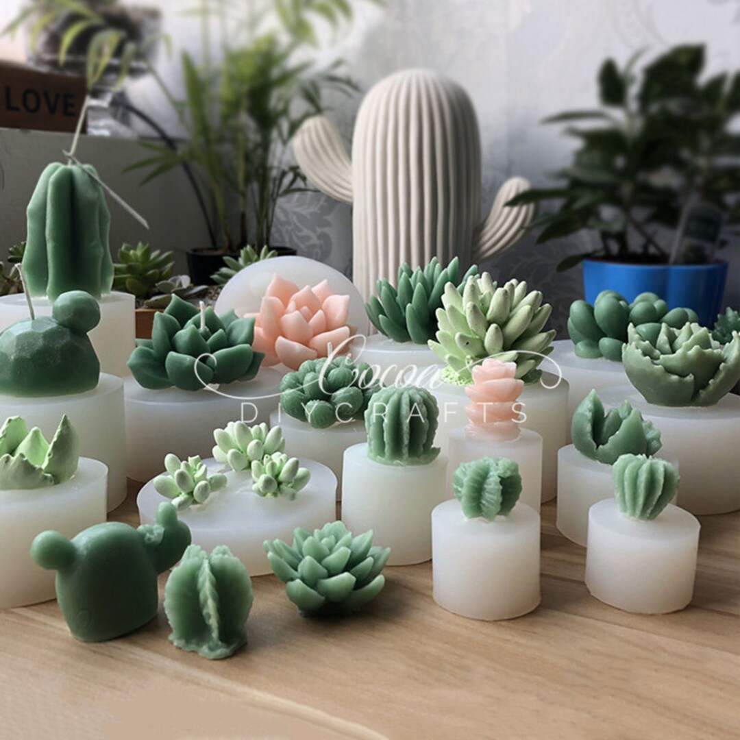  Paquete de 5 moldes de resina de silicona para suculentas,  moldes de resina epoxi de cactus, moldes de fundición de flores 3D para  manualidades de resina