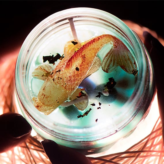 Mini Goldfish Silicone Molds Fish Tank Resin Mold Crystal Epoxy