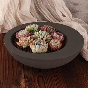 May include: A dark grey ceramic planter with a rounded shape, filled with a variety of succulent plants. The succulents are a mix of green, pink, and red hues.