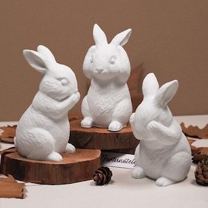 3 Styles Rabbit Silicone Mold-Funny Rabbit Resin Mold-Easter Bunny Candle Mold-Concrete Cement Animal Mold-Aromatherapy Plaster Art Mold