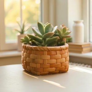 Puede incluir: Una maceta de mimbre con una planta suculenta verde. La cesta tiene forma cuadrada y color marrón claro. La suculenta tiene hojas gruesas y carnosas. La maceta está sobre una mesa blanca cerca de una ventana.