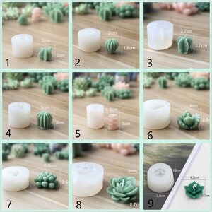 Pode incluir: Nove moldes de silicone para fazer velas suculentas. Os moldes s&atilde;o transparentes e apresentam diferentes tamanhos e formas. Os moldes s&atilde;o mostrados com velas acabadas em v&aacute;rios tons de verde.