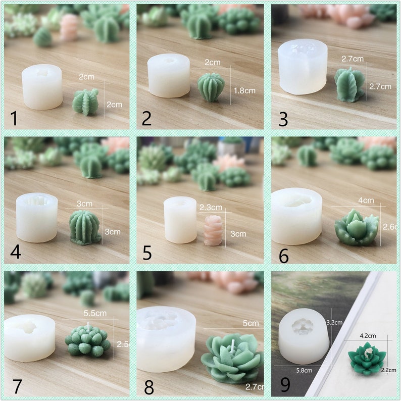 Pode incluir: Nove moldes de silicone para fazer velas suculentas. Os moldes s&atilde;o transparentes e apresentam diferentes tamanhos e formas. Os moldes s&atilde;o mostrados com velas acabadas em v&aacute;rios tons de verde.