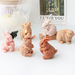 6 Styles Rabbit Silicone Mold-Small Rabbit Candle Mold-Carrot Rabbit Candle Mold-Animal Rabbit Resin Mold-Aromatherapy Plaster Art Mold