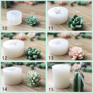 Pode incluir: Cinco moldes de silicone para fazer velas suculentas. Os moldes s&atilde;o brancos e t&ecirc;m diferentes formas e tamanhos. As velas acabadas s&atilde;o mostradas ao lado dos moldes e s&atilde;o verdes, cor-de-rosa e brancas. As velas medem de 2 a 7 cm.