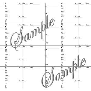 May include: A black and white medical chart with headings for vital signs, tubes, activity, skin, and diet. The chart is divided into sections for different times of day.