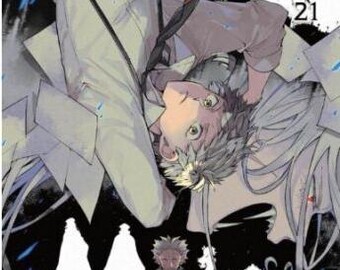 文豪ストレイドッグス マンガセット 1-25巻 - 英語版コミックブック