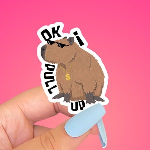 May include: A sticker featuring a cartoon capybara wearing sunglasses and a gold chain. The capybara is standing on its hind legs and has the text "OK I PULL UP" written around it.