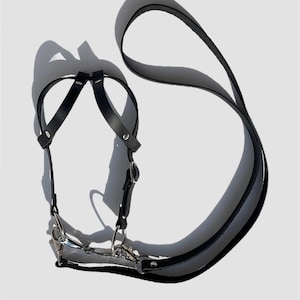 Puede incluir: Arnés de cuero negro con correa a juego. El arnés presenta una correa para el pecho, correas para los hombros y una correa de conexión con herrajes metálicos. La correa es una correa larga y plana con un asa de bucle. Sobre fondo blanco.