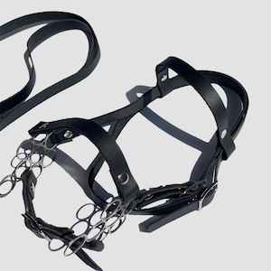 Op de afbeelding: Zwart leren harnas met zilveren metalen ringen en gespen. Het harnas heeft een band die om de taille gaat en een andere band die om de benen gaat.