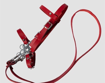 May include: Red leather halter with a silver chain and buckle. The halter is attached to a long red leather leash.