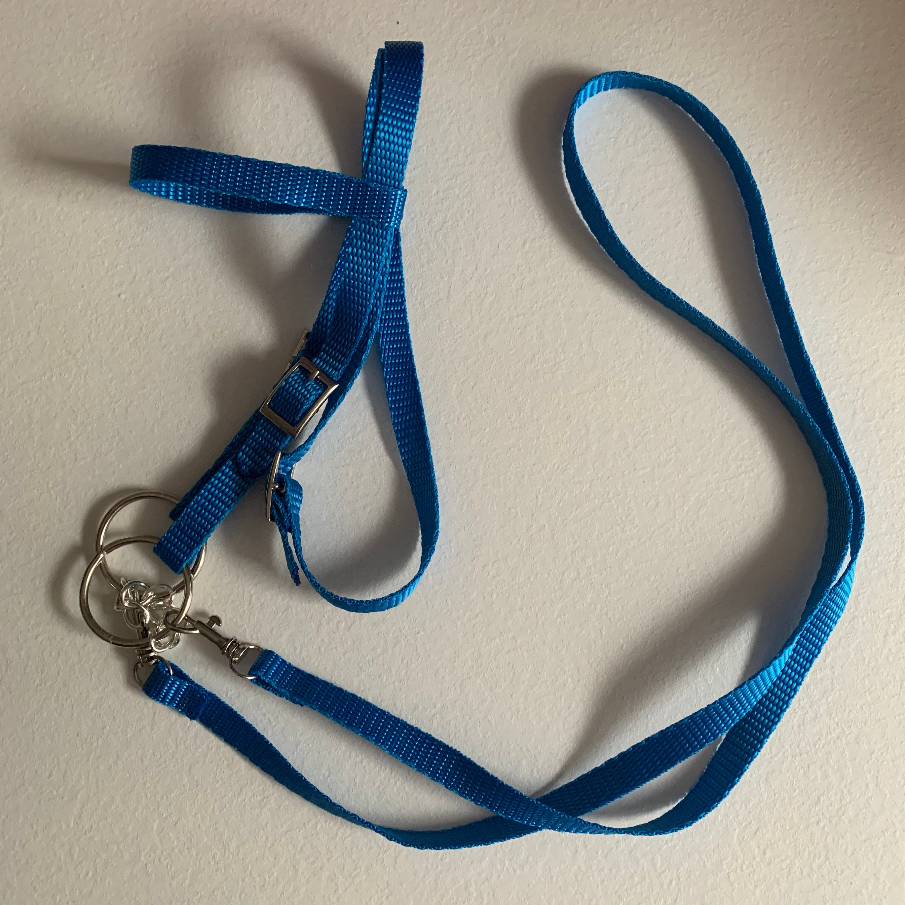 Blue Bridle With Reins for a Hobby Horse stick Horse Etsy