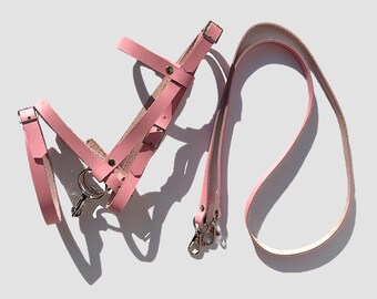 Hobby Horse Englischer Zaum, aus echtem Leder (pink Zaumzeug für ein Steckenpferd, hochwertiges Zaumzeug für Steckenpferd, Steckenpferd zubehör)