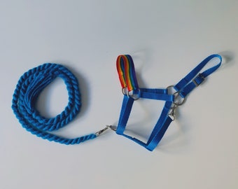 Blue halter with rainbow noseband for hobby horse (stick horse)