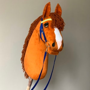 Red Hobby Horse with special reflective bridle. Good present for children and teens