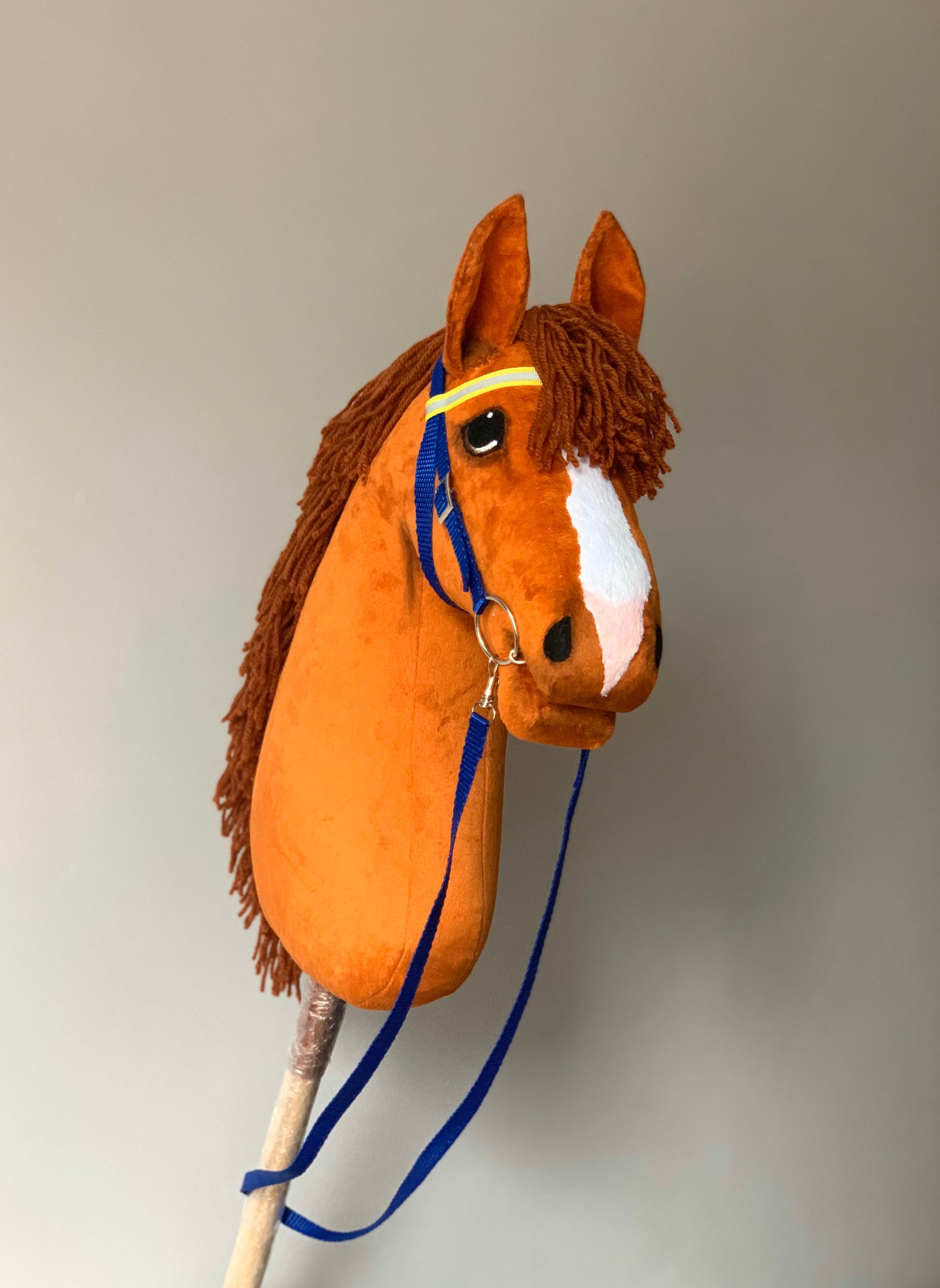 Bright Bay Hobby Horse cavallo bastone. Massima qualità con briglia in  pelle rimovibile. Per i bambini più grandi e gli adolescenti. LARP. -   Italia