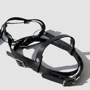 May include: Black leather harness with silver buckles and rings. The harness has a strap that goes around the head and another strap that goes around the neck.