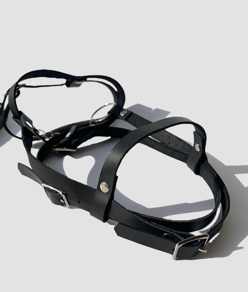May include: Black leather harness with silver buckles and rings. The harness has a strap that goes around the head and another strap that goes around the neck.