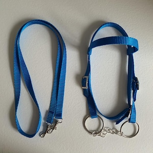 May include: A blue nylon horse halter and matching lead rope set. The halter features silver-colored metal hardware and two rings connected by a chain. The lead rope has a metal clasp. The set is designed for equine use.