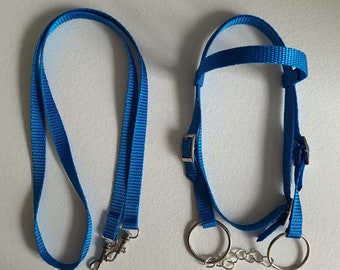 Brida azul con riendas para caballo de juguete (caballo de palo)