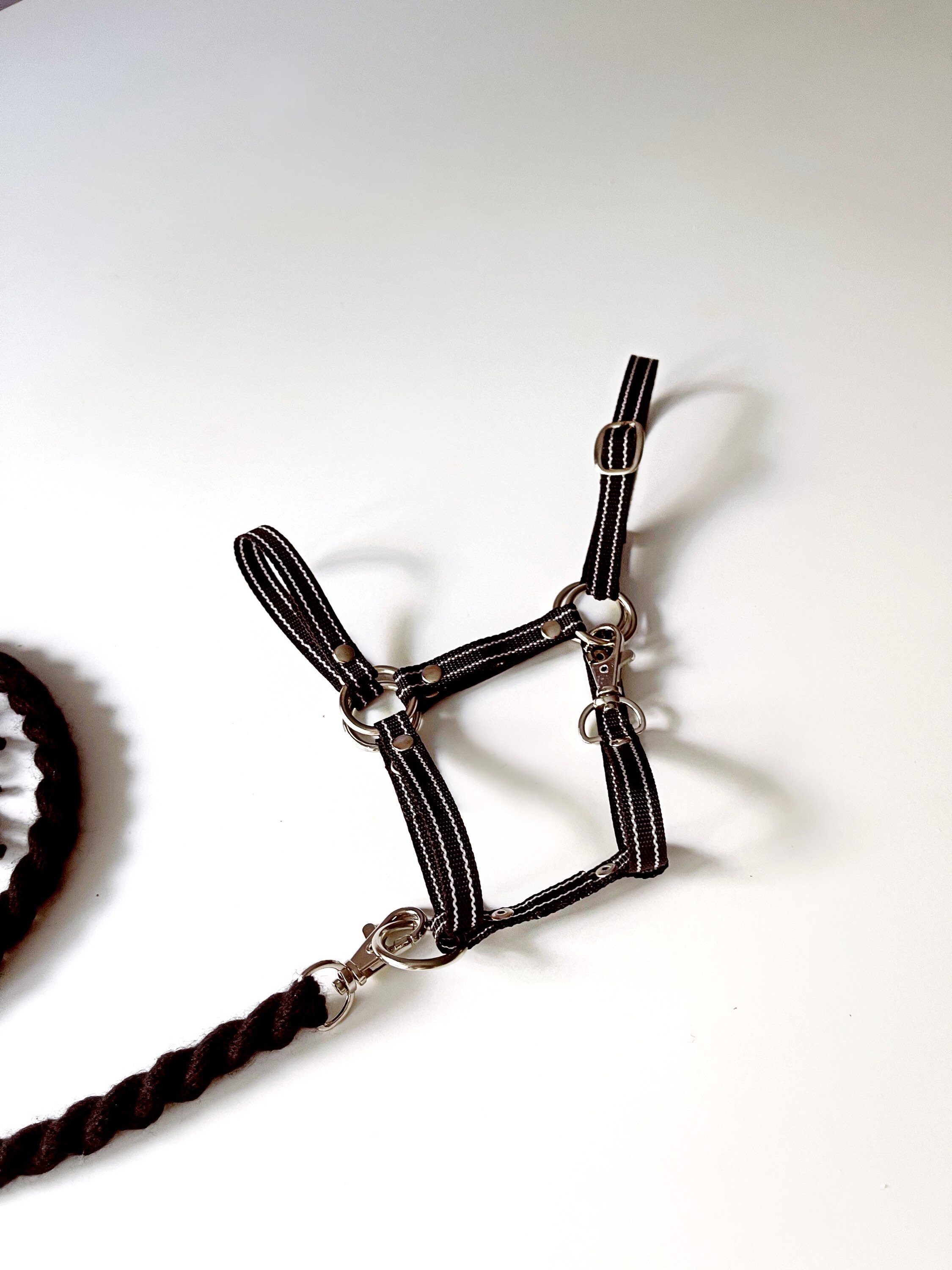 Black and white hobby horse halter with lead ropehalter for Etsy