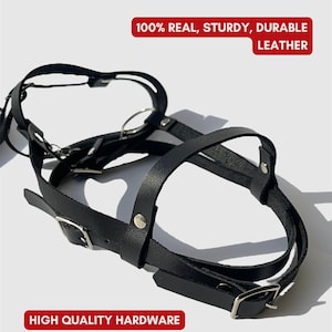 May include: Black leather dog harness with silver buckles and hardware. 100% Real, Sturdy, Durable Leather. High Quality Hardware.