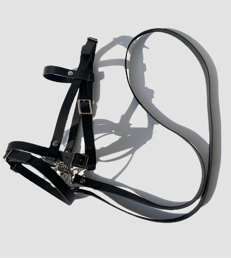 May include: Black leather halter with a silver buckle and a long black leather strap.