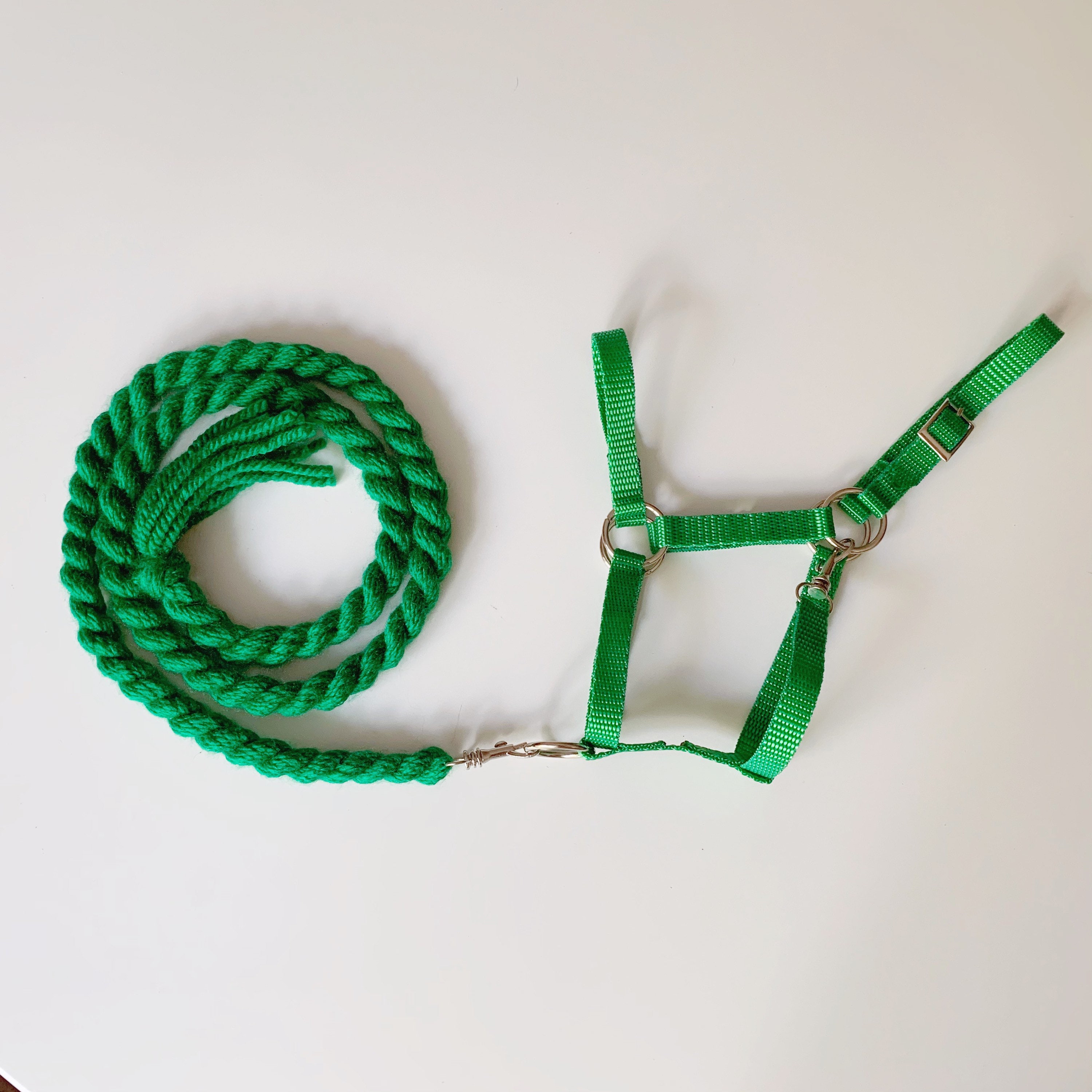 Green Halter with lead rope for hobby horse stick horse Etsy