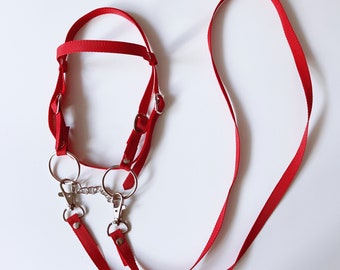 Red bridle for a hobby horse (stick horse)