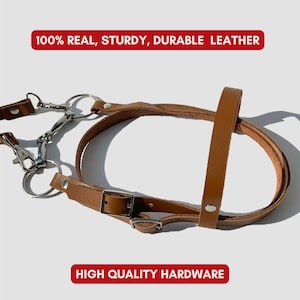 Puede incluir: Un arn&eacute;s de cuero marr&oacute;n para perro con herrajes plateados. El arn&eacute;s tiene una hebilla y dos anillos. 100% CUERO REAL, RESISTENTE, DURADERO. HARDWARE DE ALTA CALIDAD.