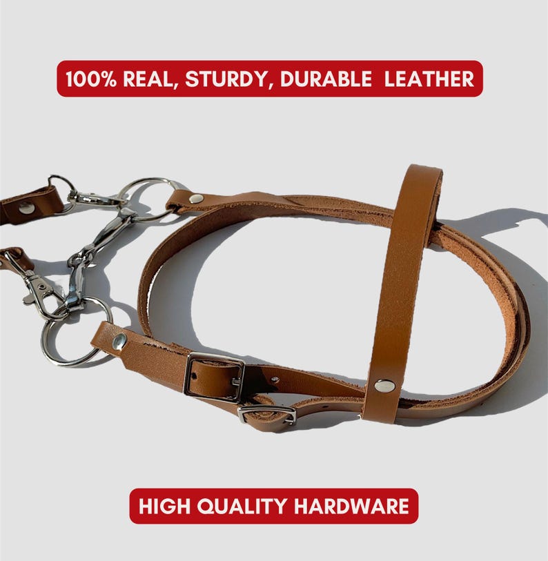 Puede incluir: Un arn&eacute;s de cuero marr&oacute;n para perro con herrajes plateados. El arn&eacute;s tiene una hebilla y dos anillos. 100% CUERO REAL, RESISTENTE, DURADERO. HARDWARE DE ALTA CALIDAD.